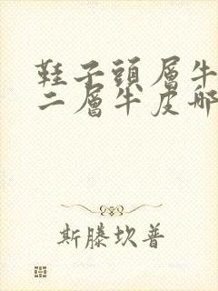 鞋子头层牛皮和二层牛皮哪个好