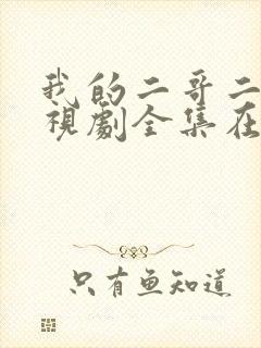 我的二哥二嫂电视剧全集在线观看