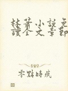 林萧小说免费阅读全文章节