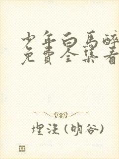 少年白马醉春风免费全集看高清封面