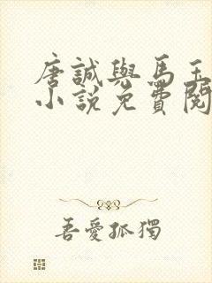 唐诚与马玉婷的小说免费阅读