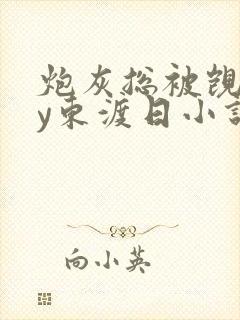 炮灰总被觊觎by东渡日小说免费阅读