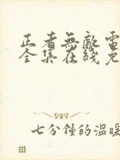 正者无敌电视剧全集在线免费观看