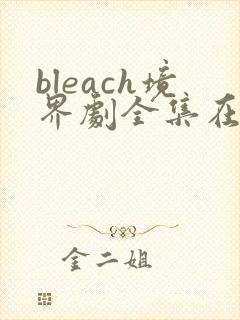 bleach境界剧全集在线观看免费版高清封面