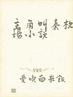 主角叫秦枚的官场小说