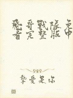 飞哥战队免费观看完整版中文封面