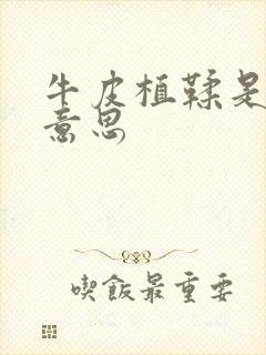 牛皮植鞣是什么意思