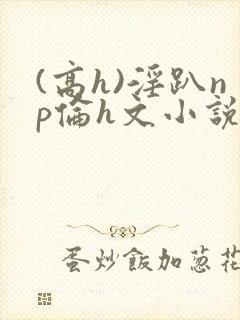 (高h)淫趴np伦h文小说