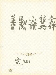 叶风小说全文免费阅读无弹窗最新章节