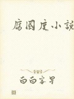 腐国度小说