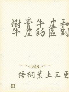 树膏牛皮和植鞣牛皮的区别封面