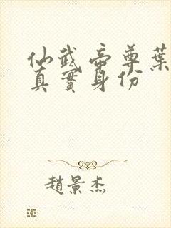 仙武帝尊叶辰的真实身份