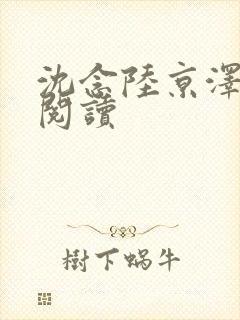 沈念陆京泽全本阅读