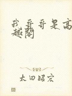 我哥哥是高欢笔趣阁