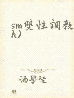sm双性调教(h)