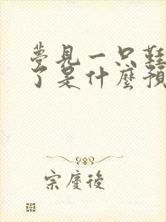 梦见一只鞋子丢了是什么预兆