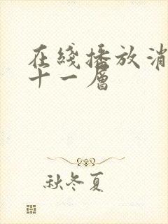 在线播放消失的十一层封面