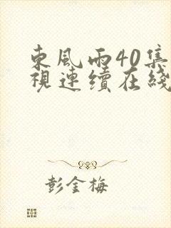 东风雨40集电视连续在线直播