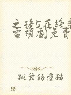 之后5在线观看电视剧免费高清完整版封面