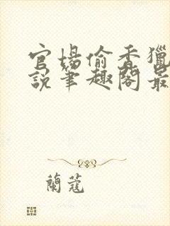 官场偷香猎艳小说笔趣阁最新章节列表