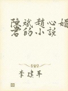 陈斌赵心媚高婉君的小说