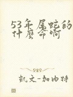 53年属蛇的是什么命啊