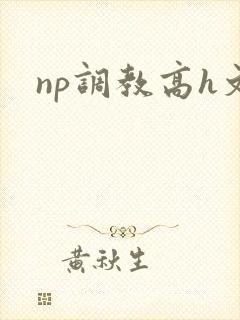 np调教高h文