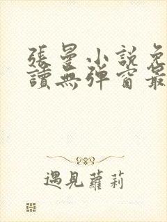 张曼小说免费阅读无弹窗最新章节