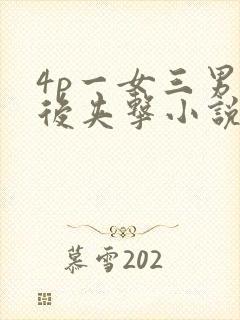 4p一女三男前后夹击小说