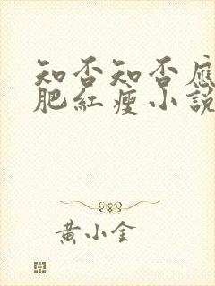 知否知否应是绿肥红瘦小说原著叫什么