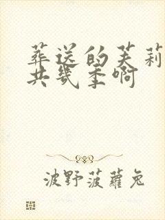 葬送的芙莉莲一共几季啊