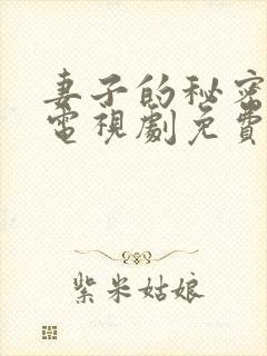 妻子的秘密韩剧电视剧免费观看