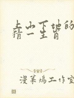 上山下地的动物猜一生肖