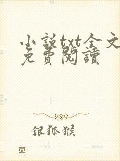 小说txt全文免费阅读