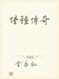 借种传奇封面