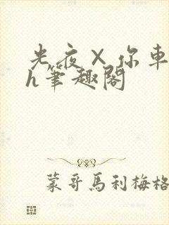 光夜×你车肉高h笔趣阁