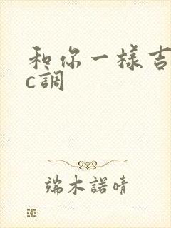 和你一样吉他谱c调
