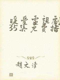 暖爱电视剧全集35集免费播放