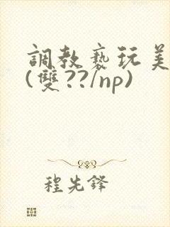 调教亵玩美人受(双??/np)