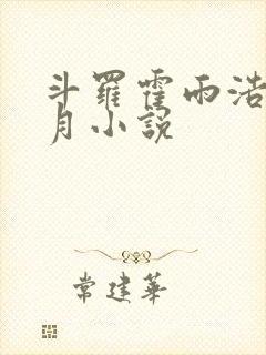 斗罗霍雨浩在日月小说