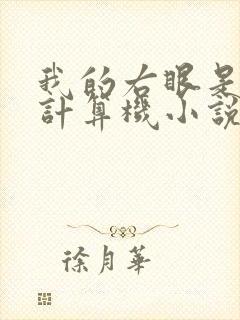 我的右眼是神级计算机小说笔趣阁