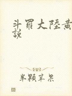斗罗大陆黄色小说