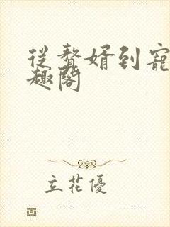 从赘婿到宠臣笔趣阁封面