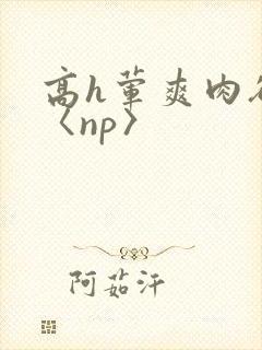 高h荤爽肉欲文〈np〉