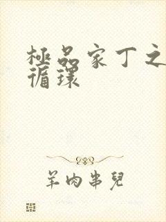 极品家丁之因果循环