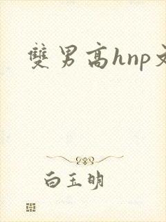 双男高hnp文