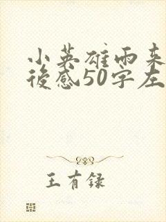 小英雄雨来的读后感50字左右