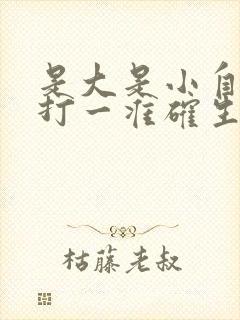 是大是小自己猜打一准确生肖