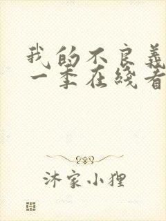 我的不良义姐第一季在线看免费