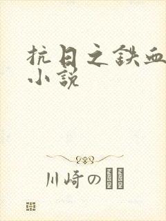 抗日之铁血兵王小说